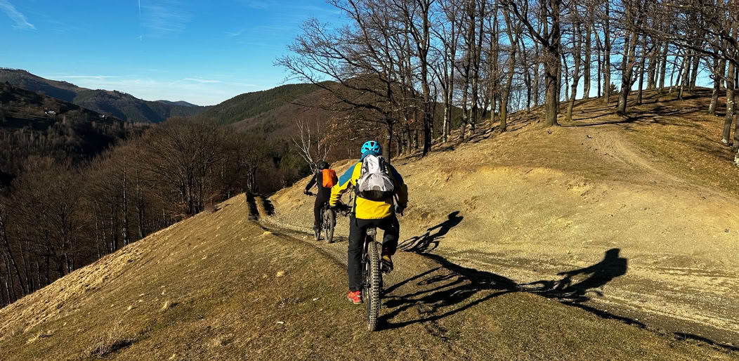 biciclete KTM de inchiriat - Sibiu