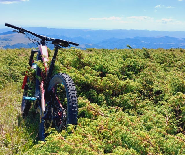 Inchiriere biciclete electrice - KTM Sibiu